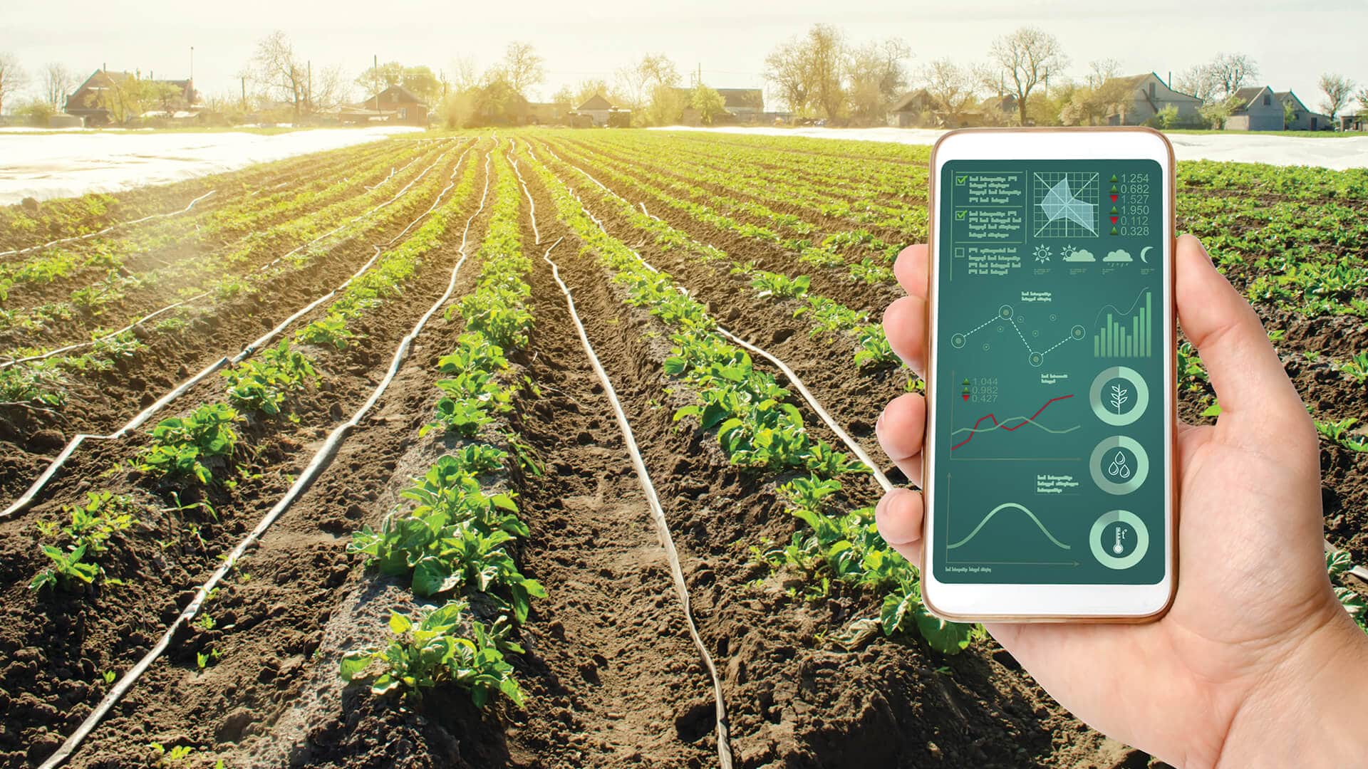 The future of Autonomous Farming starts with Vision